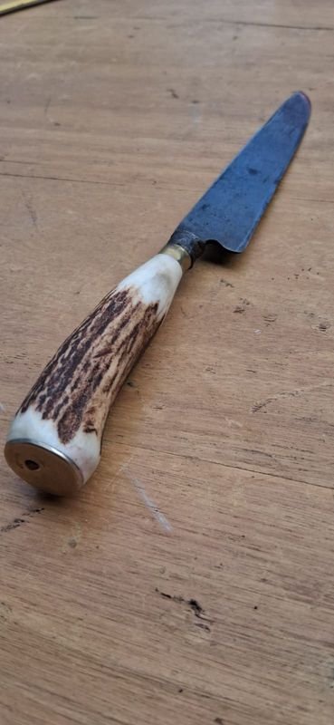 Cuchillo Antiguo Franz Wenk Solingen Hoja 17 cm Mango de Astas