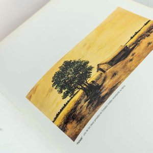 Libro "Molina Campos" por Ignacio Gutiérrez Zaldivar - Tapa Dura con Sobrecubierta - imagen 2