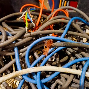 Cajón con Cables Eléctricos de Diversas Medidas y Colores - imagen 4