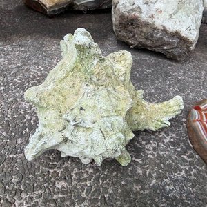 Conjunto Decorativo de Rocas, Minerales y Caracol Marino - imagen 3