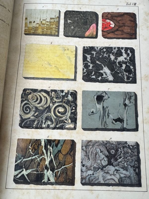 Libro antiguo de mineralogía con una mano en la cubierta - imagen 5