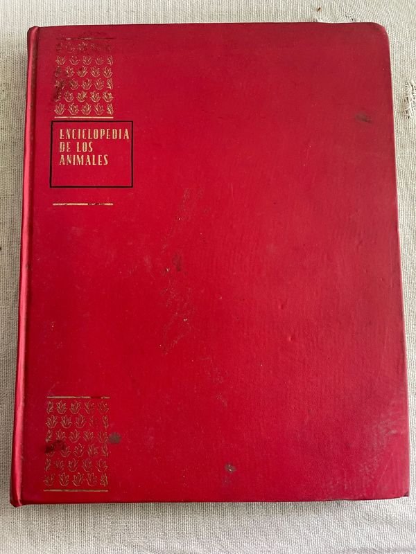 Enciclopedia de los Animales - Volumen Cuarto