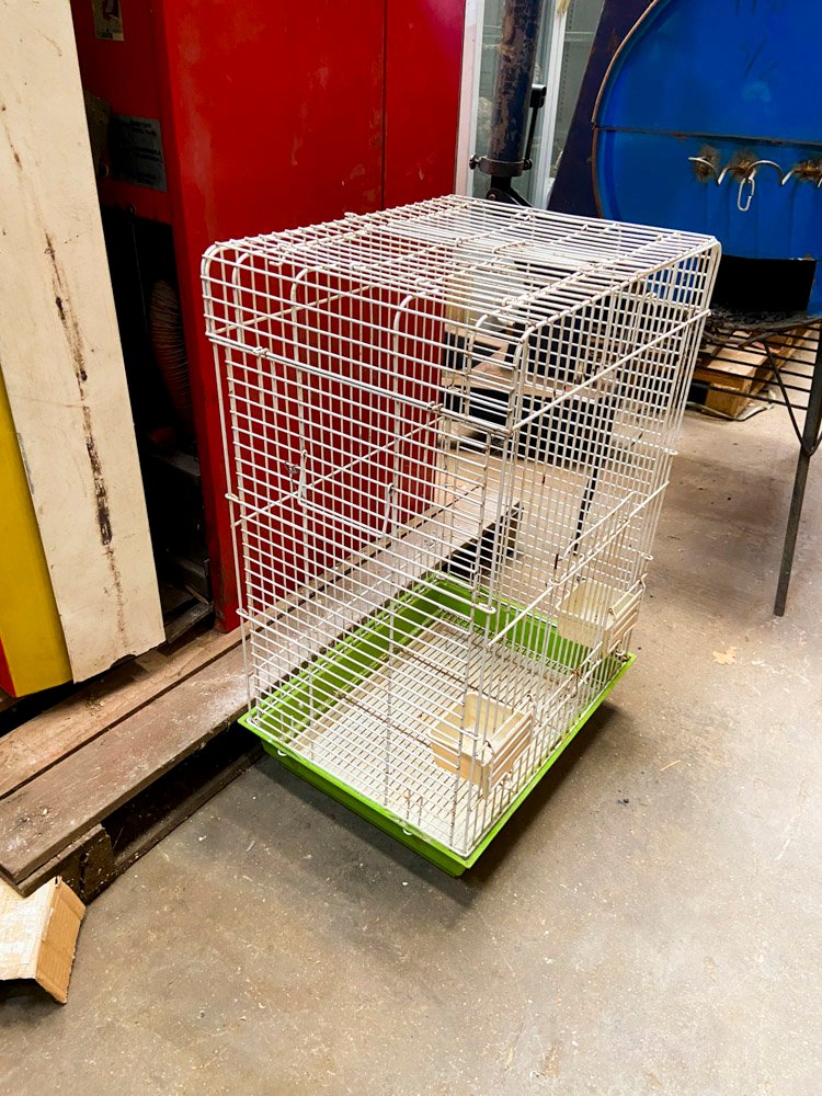 Item 499891 - Image 2