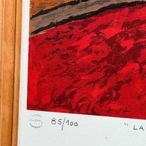 Serigrafía "La Manguera Roja" de Juan Storm, Edición 85/100 - imagen 6