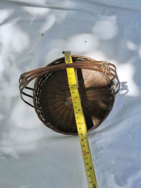 Item 869561 - Image 1