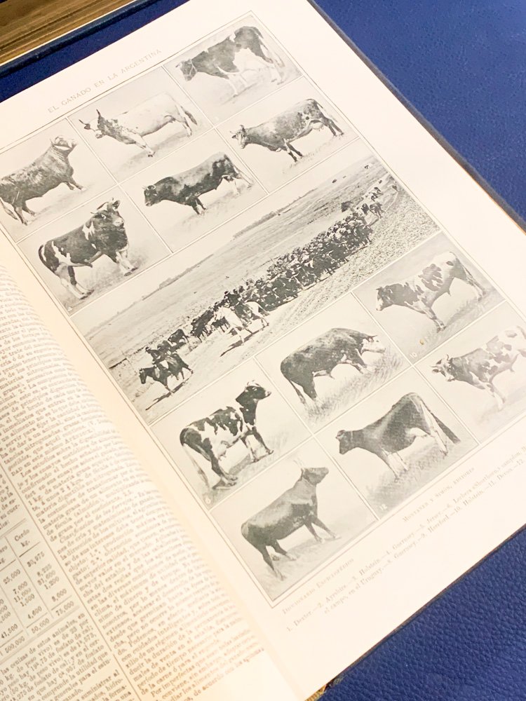 Item 500949 - Image 2