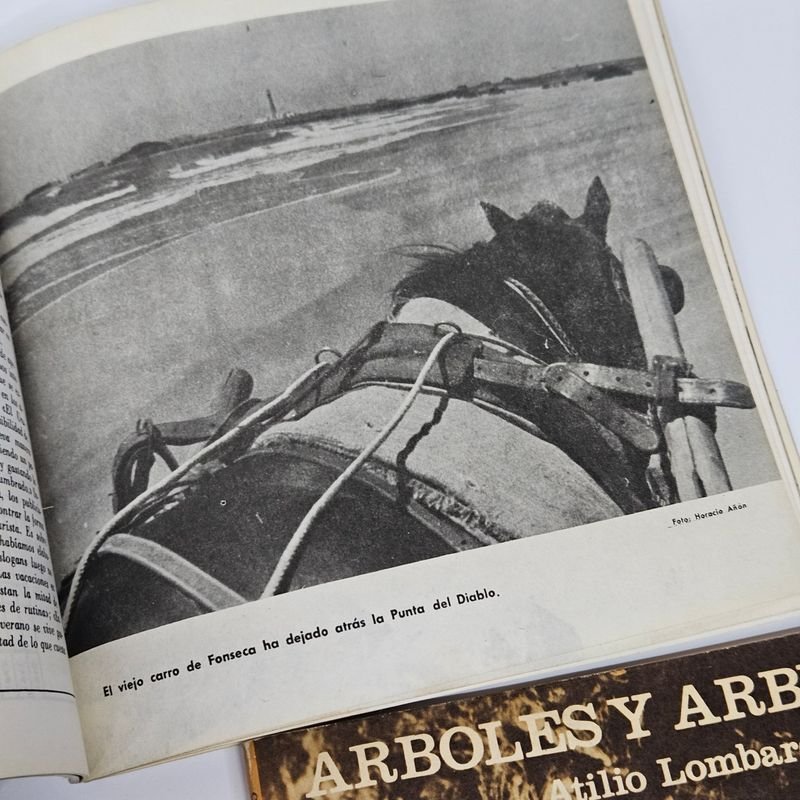 Item 892067 - Image 5