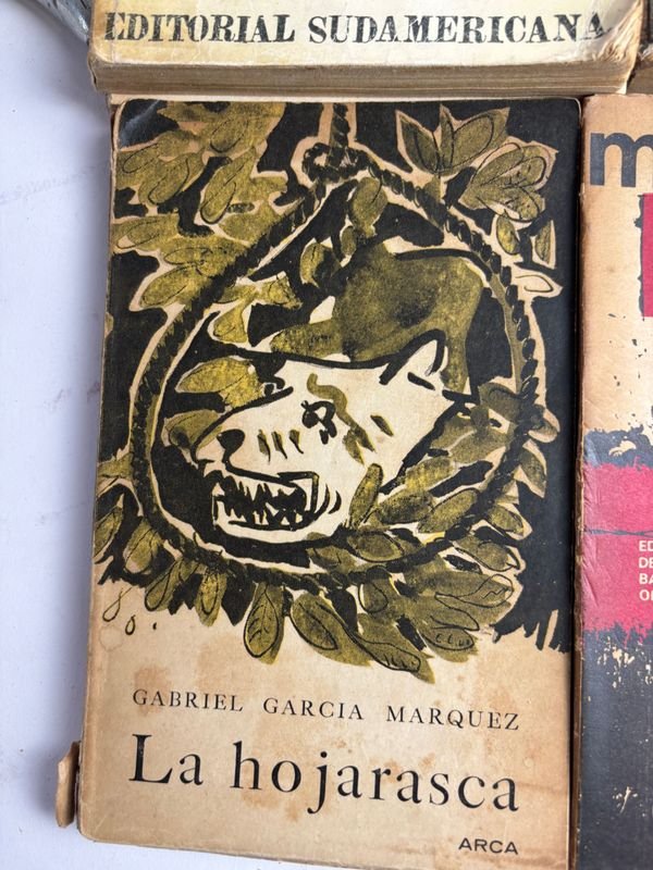 Colección de libros en español de autores latinoamericanos - imagen 3