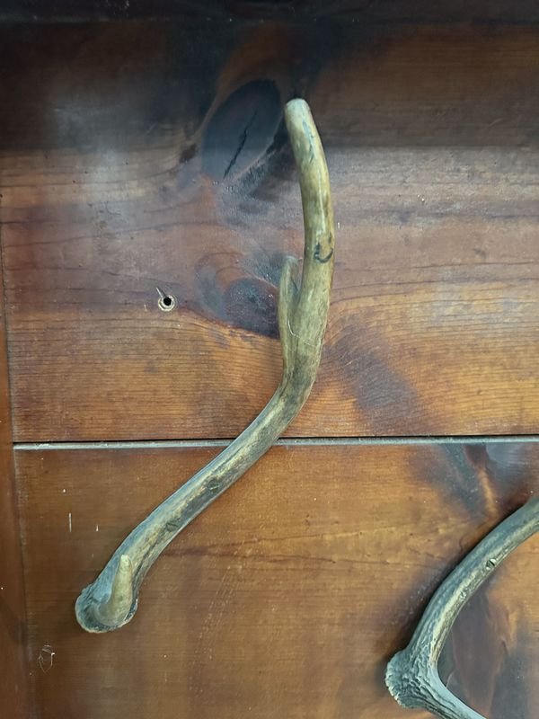 PERCHERO DE MADERA MACIZA SHEESHAM - Accesorios para Hogar - imagen 3