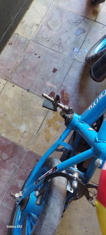 Item 886415 - Image 5