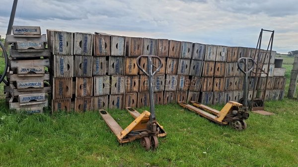 Pallets de Madera y Autoelevadores Manuales - imagen 1