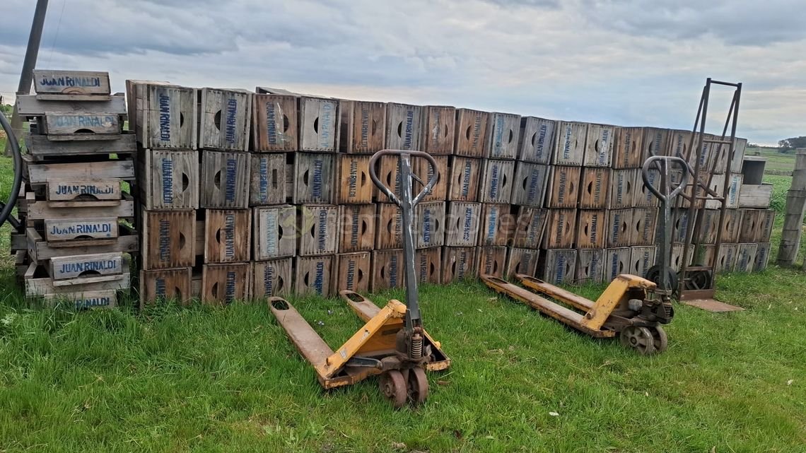 Pallets de Madera y Autoelevadores Manuales