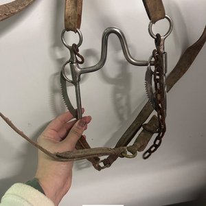 Freno y Cabezada de Cuero para Caballos - imagen 4