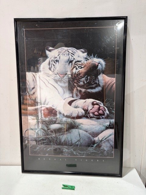 Cuadro Bengal Tigers 93x63 cm