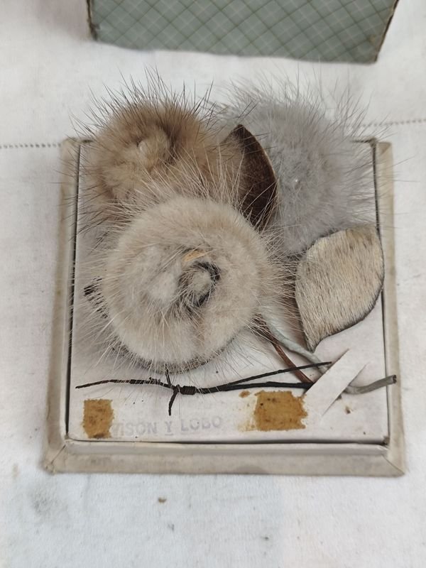 Item 841772 - Image 0