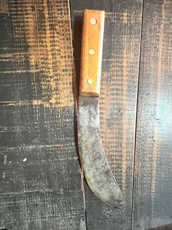 Item 878029 - Image 1