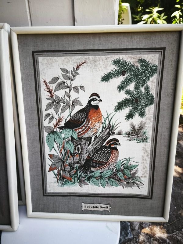 Colección de cuadritos decoración estilo aves - imagen 13