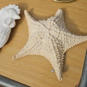 Bolso Negro, Adornos de Repisa y Baño: Gallos, Estrella de Mar y Figuras - imagen 4