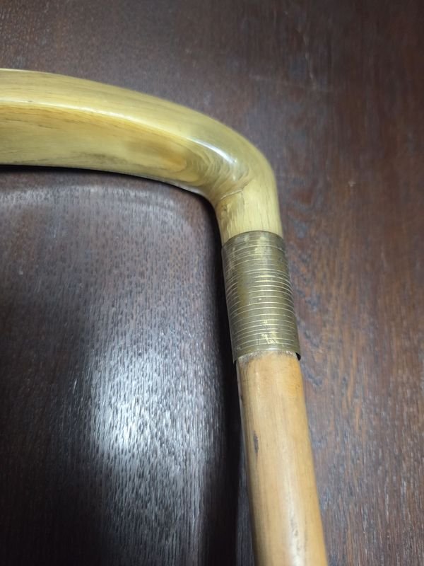 Baston Antiguo con Guampa en Madera - imagen 3