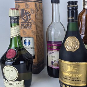Lote de Botellas de Bebidas Alcohólicas Variadas: Empezadas y Vacías - imagen 5