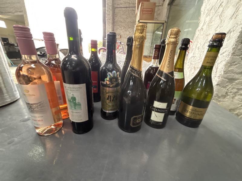Lote de 18 Bebidas Varias: Vinos y Espumantes