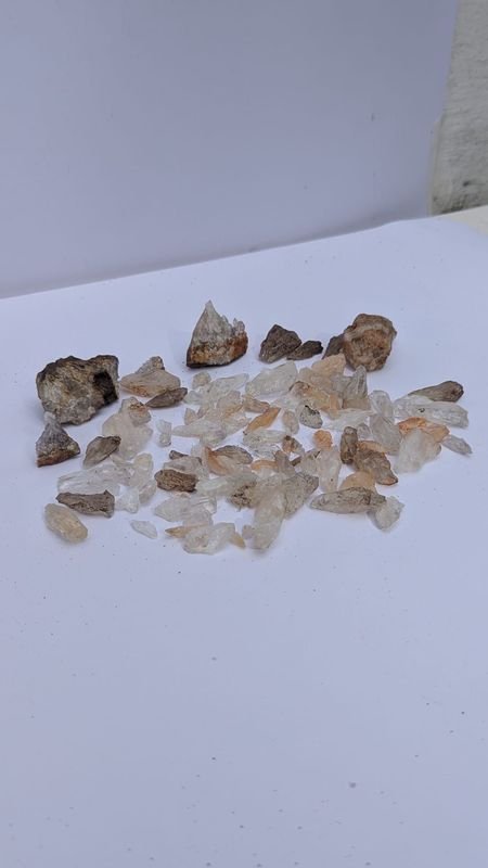 Item 883521 - Image 1