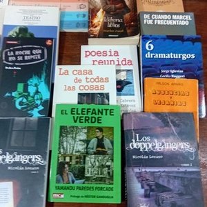 Lote de 16 Libros: Narrativa, Poesía, Teatro y Más - imagen 8