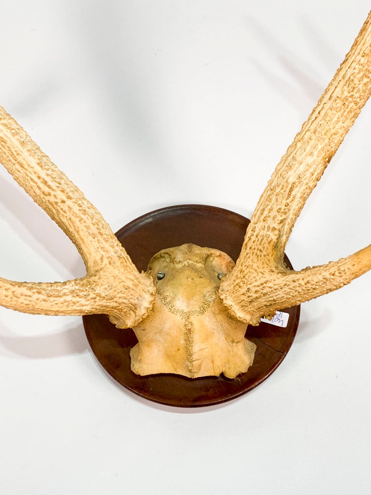 Item 486770 - Image 2