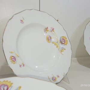 Lote de 16 Platos de Porcelana Alemana Hutschenreuther con Flores y Borde Dorado - imagen 3