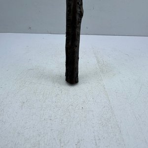 Bastón de Madera Estilo Palmera con Mango Curvo - imagen 4