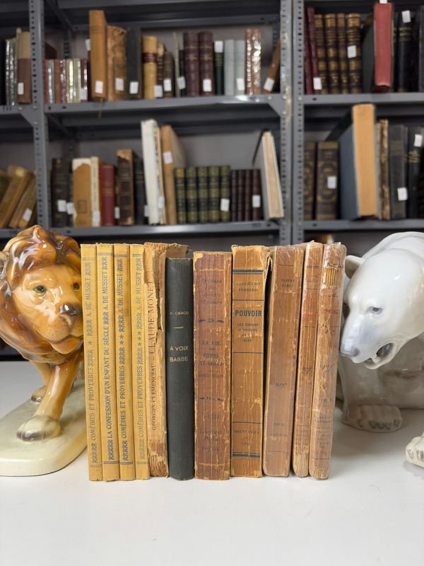 Colección de Novelas en Francés con Figuritas Cerámicas - imagen 4