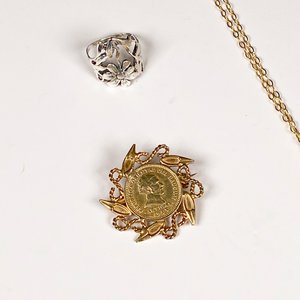 Lote de 6 Piezas de Bisutería: Cadenas Enchapadas, Colgantes, Anillo y Prendedor - imagen 3