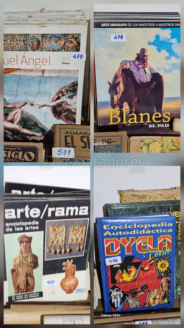 Lote de Libros y Enciclopedias de Arte y Cultura General