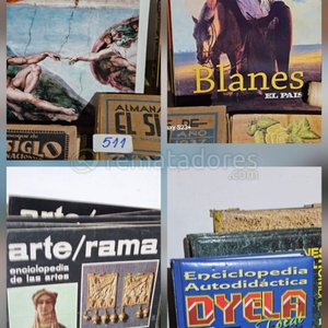 Lote siguiente: Lote de Libros y Enciclopedias de Arte y Cultura General
