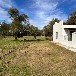 Lote de Campo con Galpones y Casa Principal - imagen 21