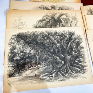Carpetas con Láminas de Parques y Jardines de Buenos Aires - Litografías Originales de Alfredo Guido (1947) - imagen 3