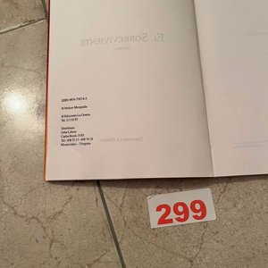 El Sobreviviente de Nelson Mezquida - Novela de Guerrilla Urbana - imagen 2