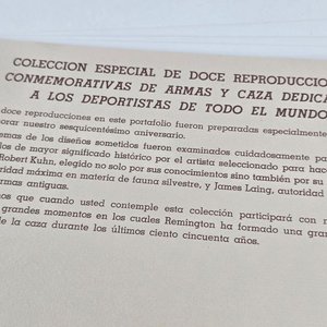 Carpeta con Reproducciones de Armas Remington (1816-1966) - imagen 2