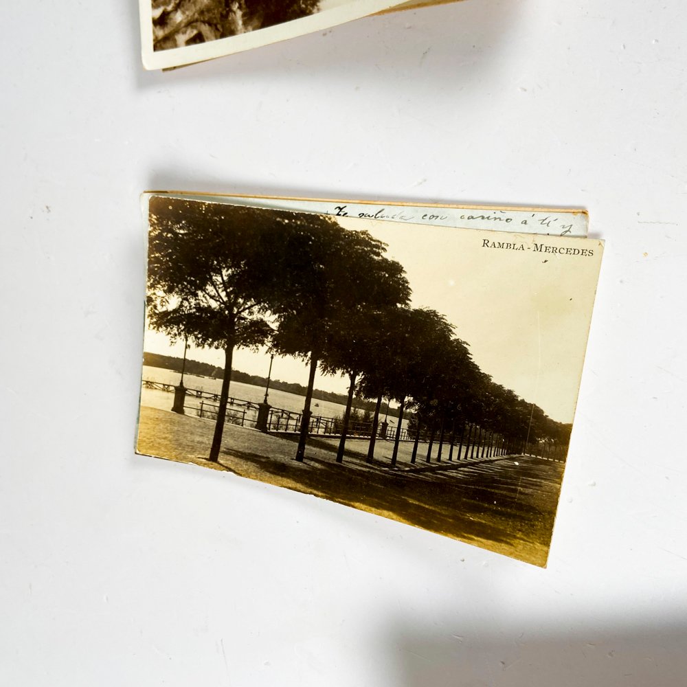 Item 501734 - Image 3