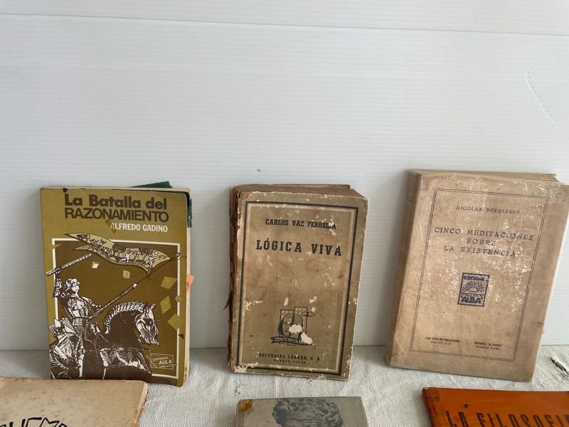 Lote de Libros de Filosofía, Sociología y Estudios Varios