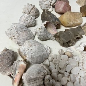 Lote Variado de Piedras Naturales, Caracoles y Pirámides Decorativas - imagen 16