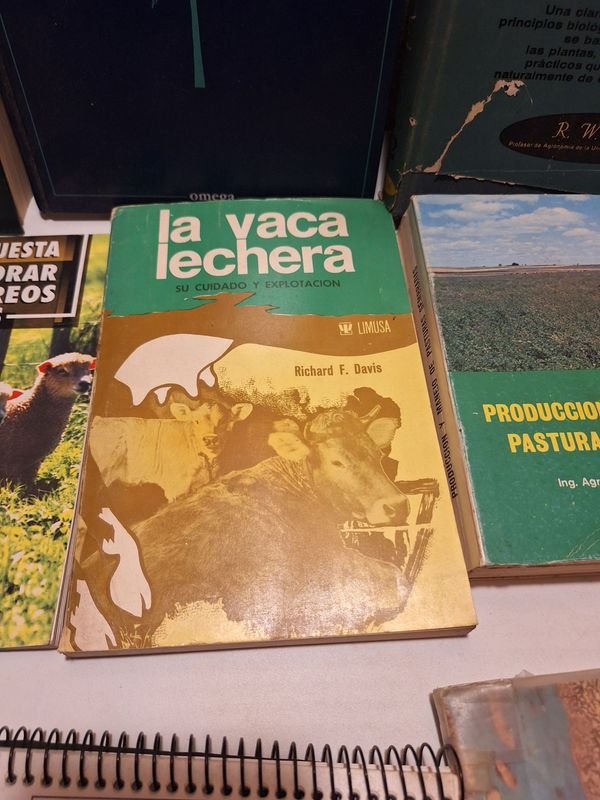 Item 870072 - Image 4