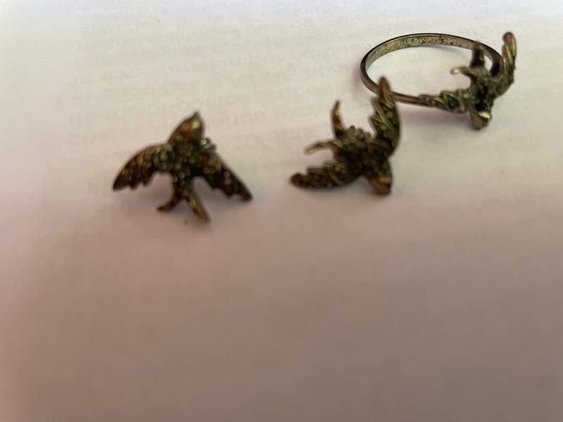 Juego de Anillo y Caravanas de Plata con Diseño de Golondrinas