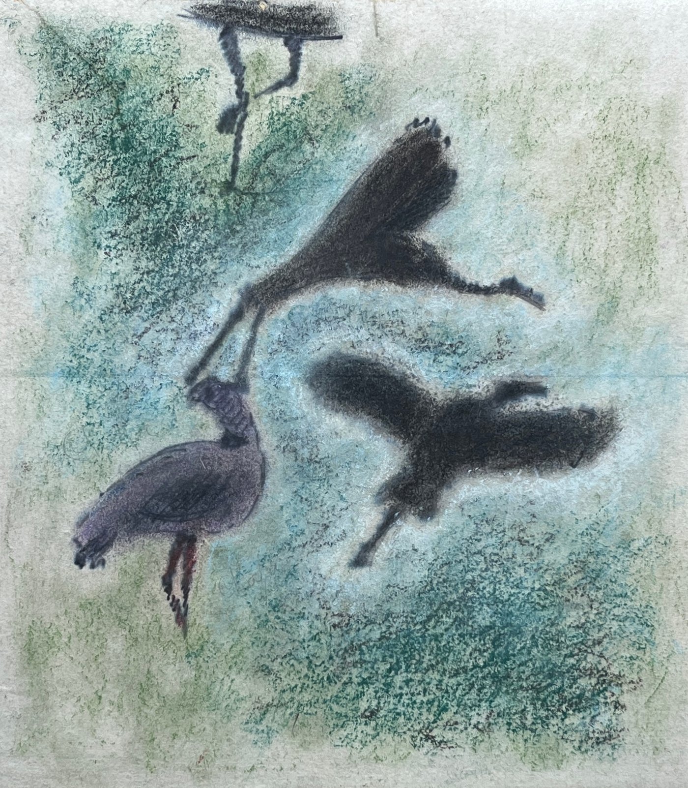 Obra "Teros" de José Cuneo, Pastel sobre Papel