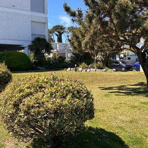 Edificio de apartamentos en venta en primera línea de playa - imagen 14