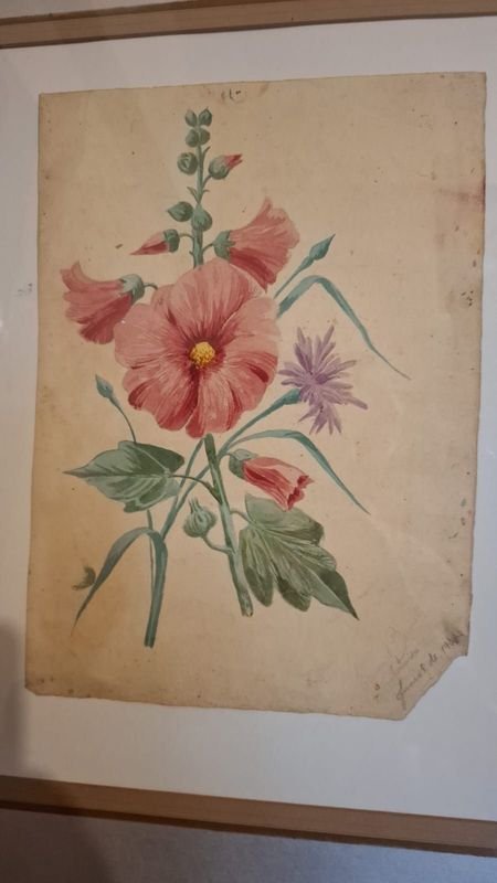 Item 856350 - Image 1