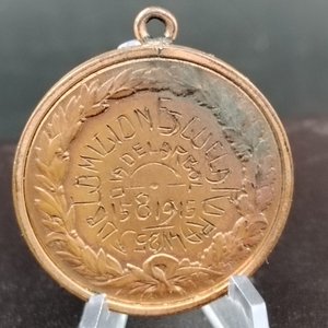 Medalla "Día del Árbol" Escuela Rural N° 25 - 15/8/1915 - imagen 6