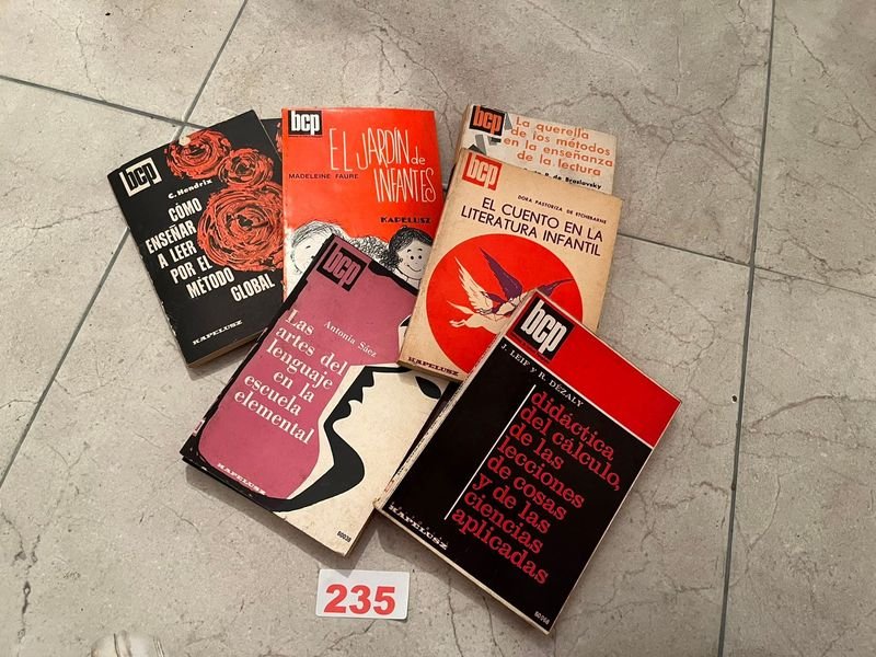 Lote de 6 Libros de Didáctica y Pedagogía, Colección BCP Kapelusz