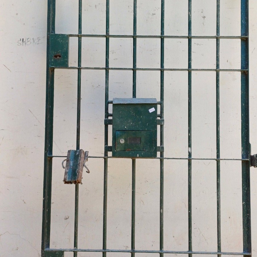 Puerta reja en varilla de alta calidad - imagen 9