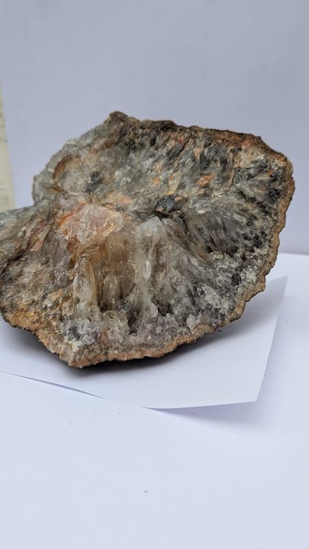 Item 883532 - Image 0